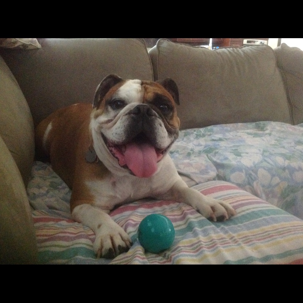 Meet your Posher, Nancy